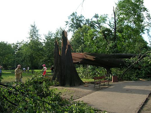 park3.jpg