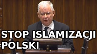 Kaczy__ski_stop_islamizacji.jpg